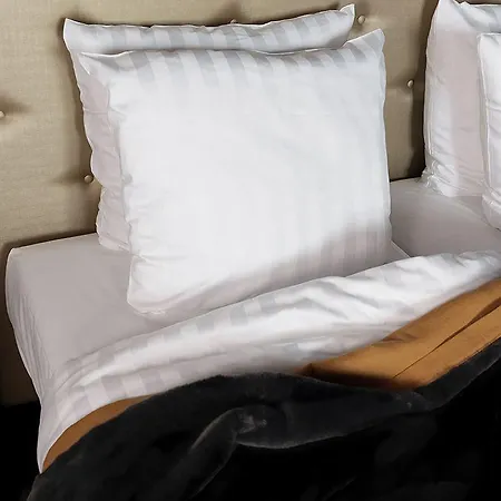 Sandton Pillows 酒店 马斯特里赫特